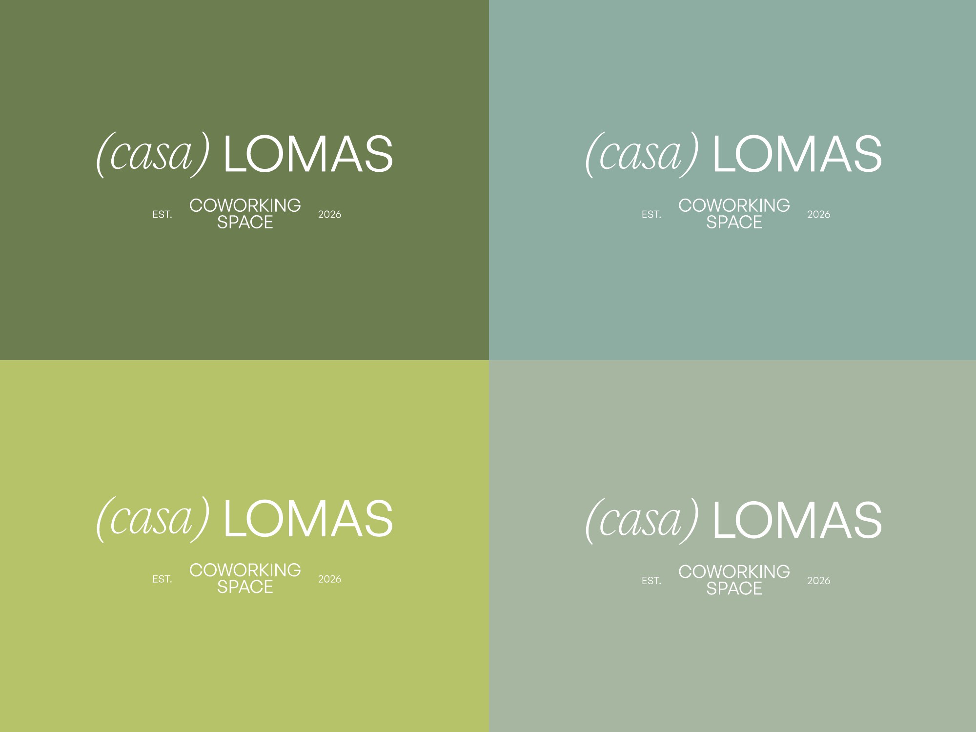 Casa Lomas, imagen 6
