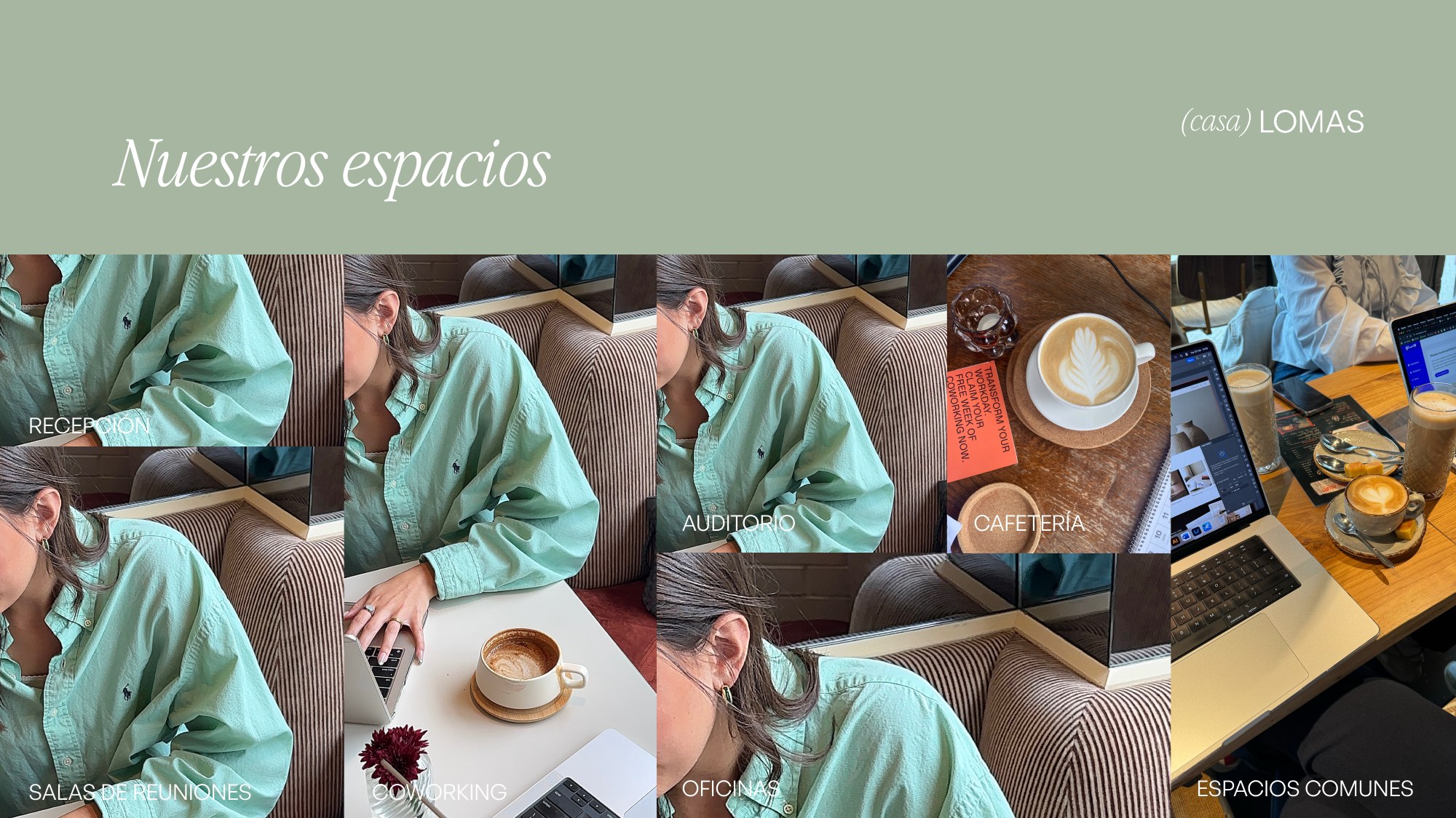 Casa Lomas, imagen 29