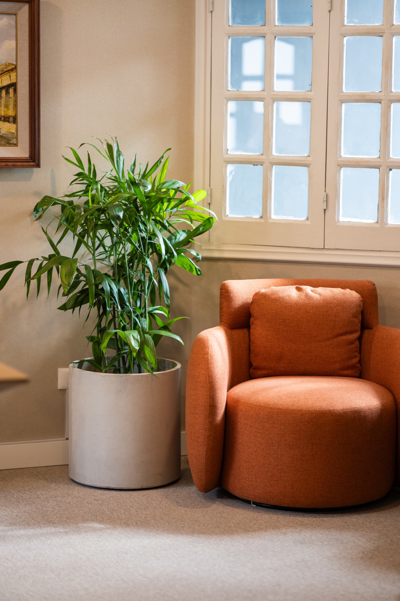 Casa Lomas, imagen 23