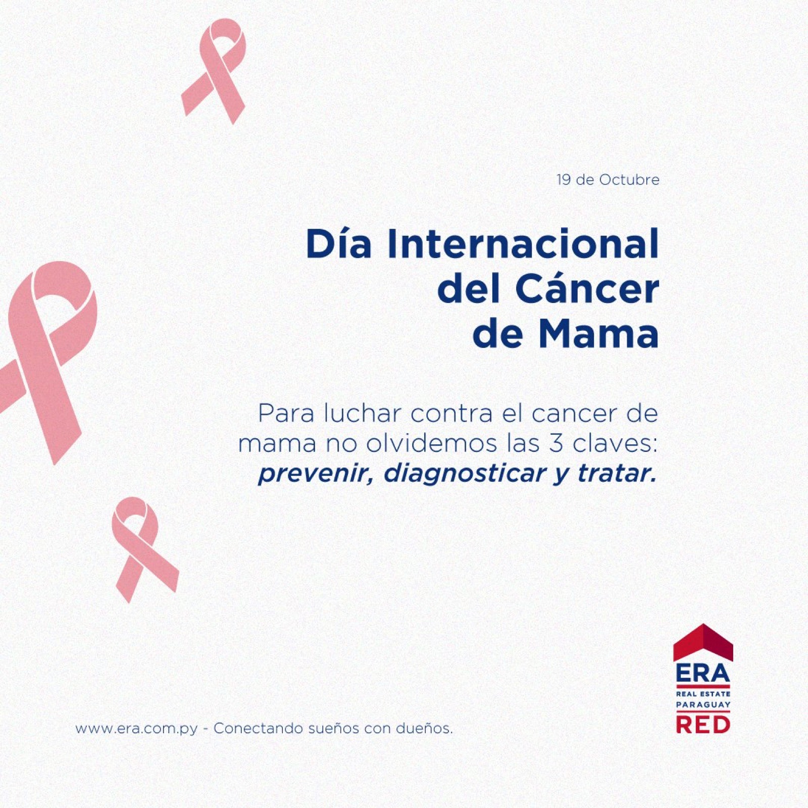 ERA RED, imagen 16