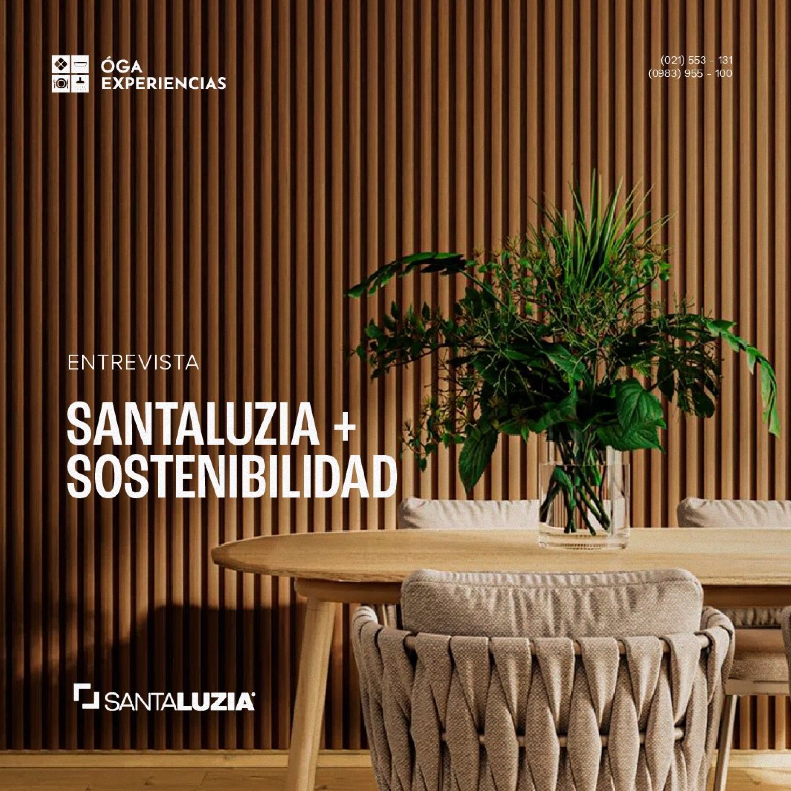 Oga Ideas, imagen 17