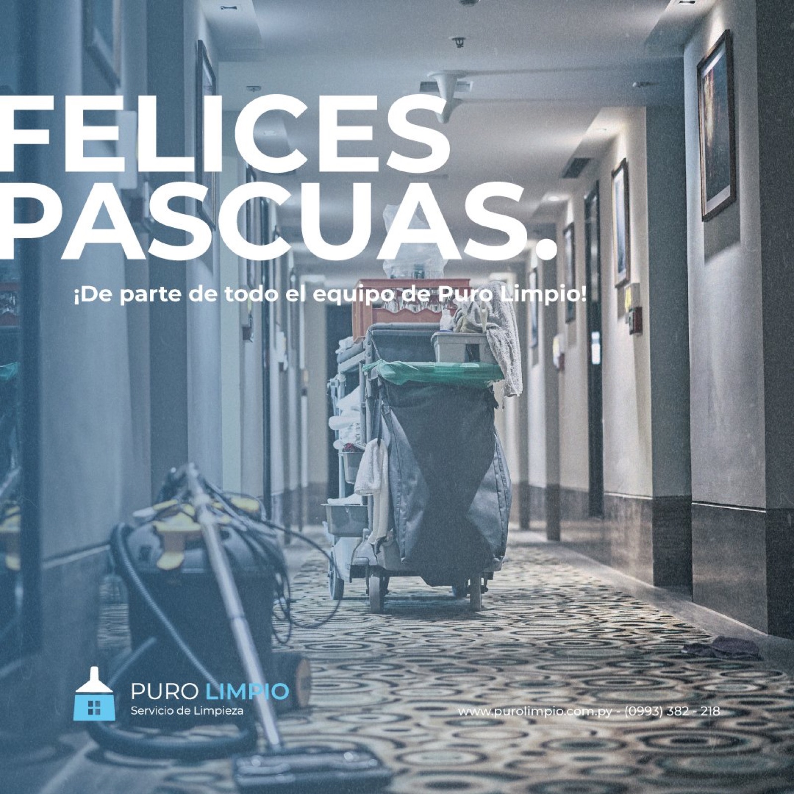 Puro Limpio, imagen 24