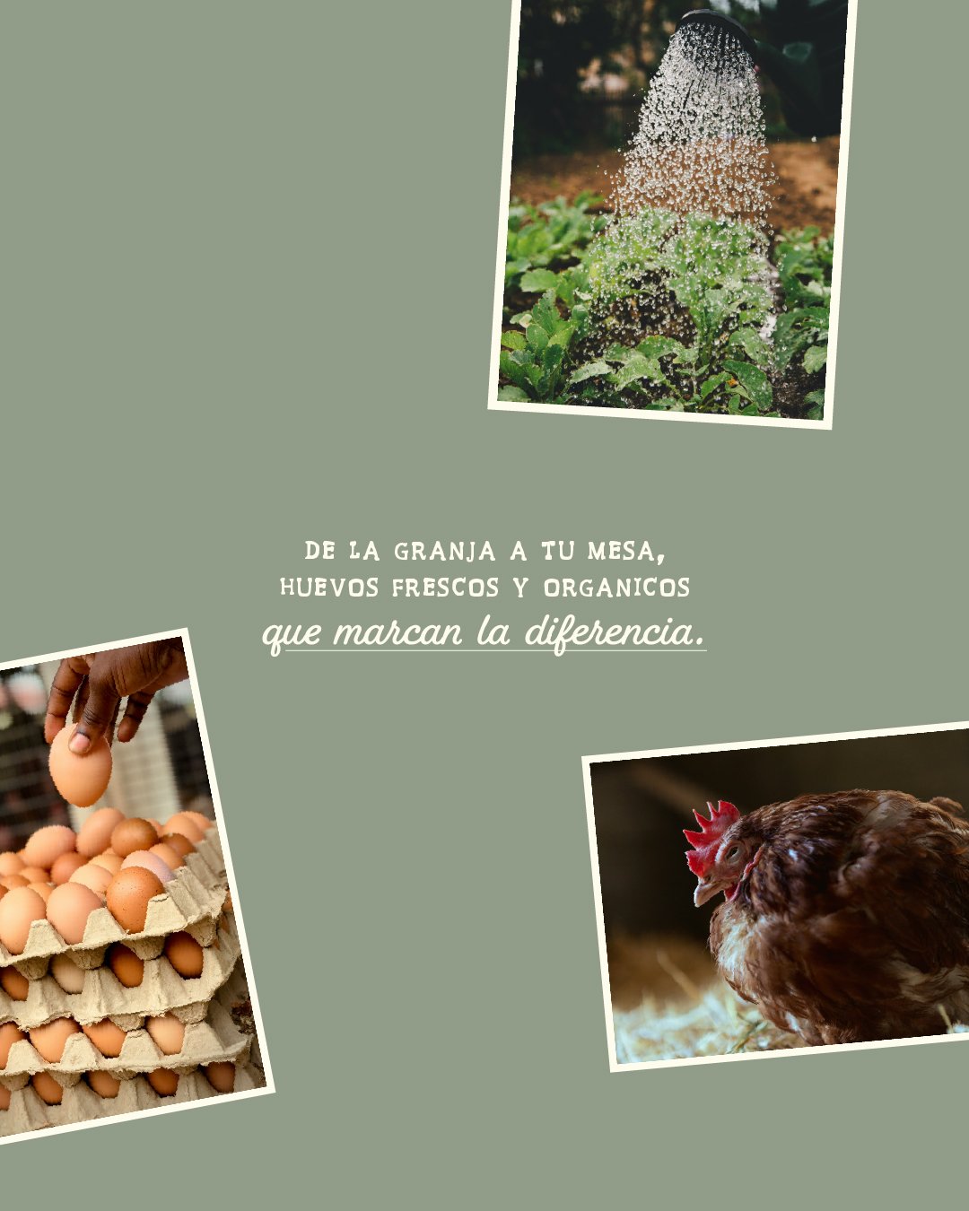 Rancho 3C, imagen 7