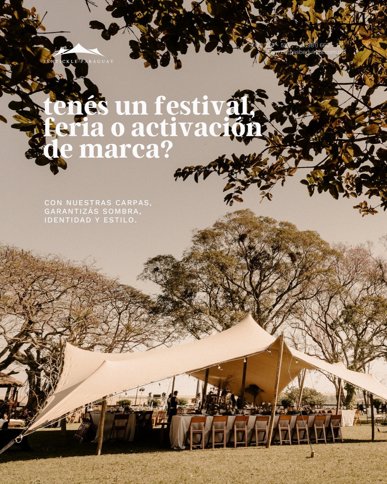 Tentikle, imagen 14