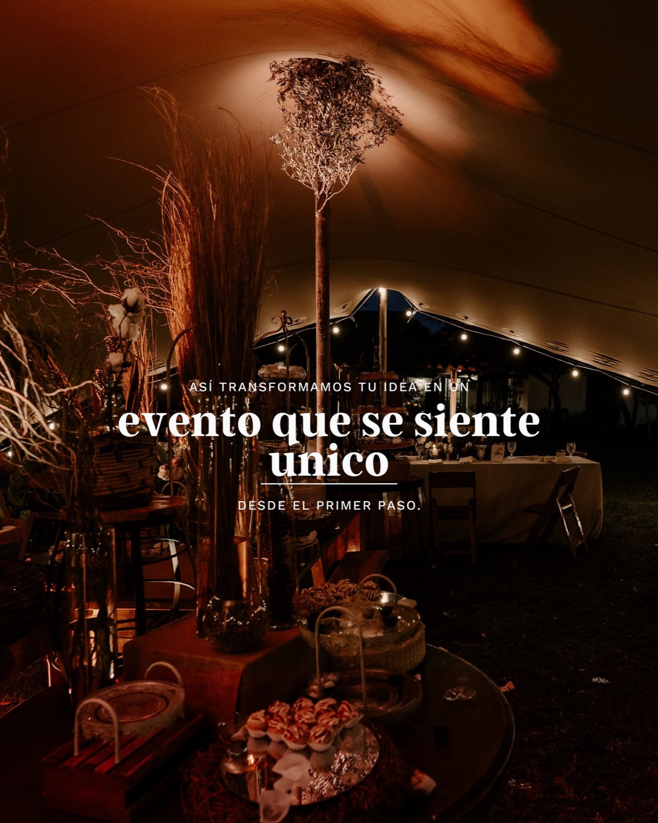 Tentikle, imagen 15