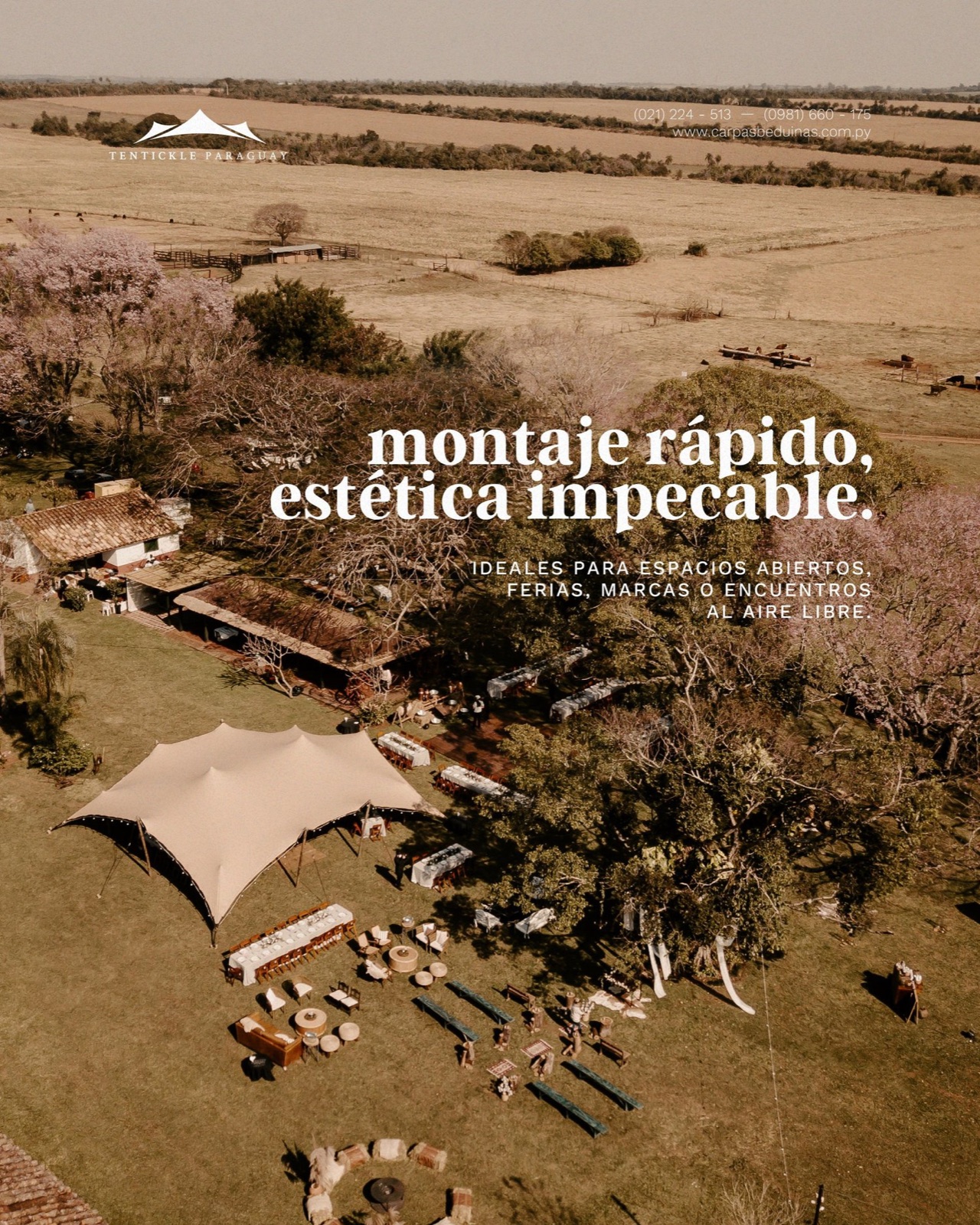 Tentikle, imagen 16
