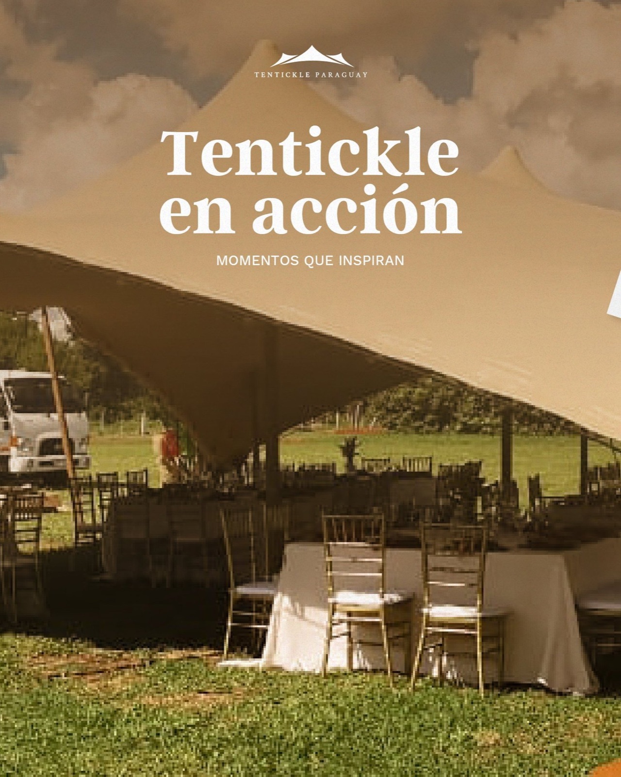 Tentikle, imagen 20