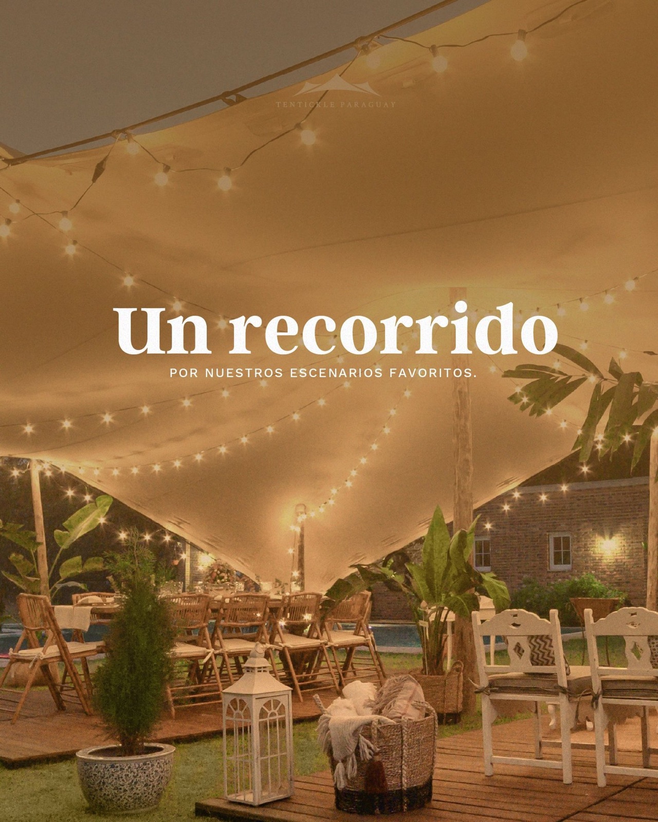 Tentikle, imagen 26